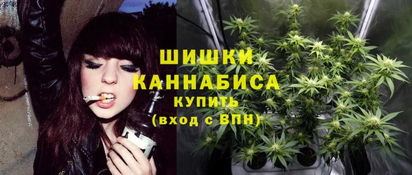 стаф Магас