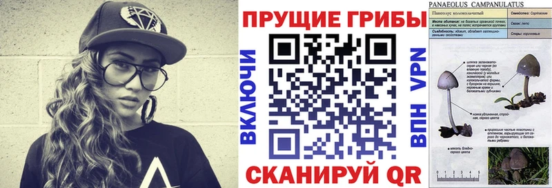 Галлюциногенные грибы прущие грибы  Чишмы 