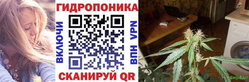 купить наркоту Чишмы Бошки Шишки Amnesia